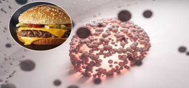 G�dalardan yay�ld��� tespit edildi!