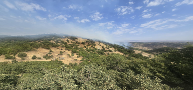 Bing�l'de orman yang�n�! Helikopter havaland�