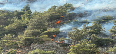 Ayd�n S�ke'de alevler y�kseldi! Ekipler m�dahale ediyor