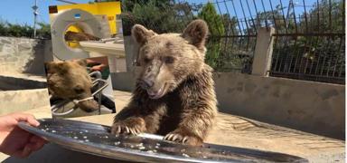 MR'a giren 'Okan Ay�' d�nyan�n g�ndemine oturdu! Japon kanal� �ekime geldi