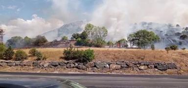 Sivas'ta a�a�l�k alanda yang�n ��kt�