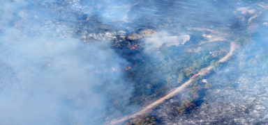 D�zce'de orman yang�n�