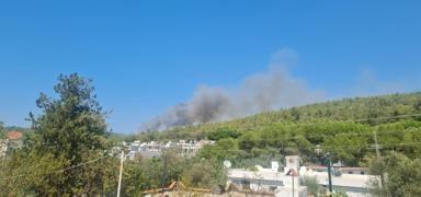 Bodrum'da orman yang�n�