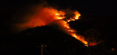 Hakkari'de orman yang�n�... Alevler kontrol alt�na al�nd�