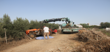 Antalya'da tamir ettii traktrn altnda kalan kii ld