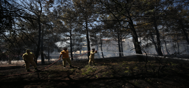 anakkale'de orman yangn... Alevler kontrol altna alnd