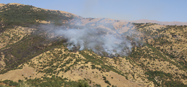 Hakkari'de orman yang�n�... Ekipler m�dahale ediyor