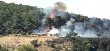 �zmir'de orman yang�n�... 1500 hektar orman alan� zarar g�rm��t�: San�klar�n cezas� belli oldu