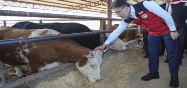 Bakan Yumakl�'dan 'kontrol alt�na ald�k' m�jdesi