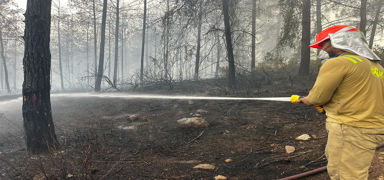 Osmaniye'de ��kan orman yang�n� kontrol alt�na al�nd�