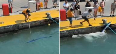 Nesli t�kenme tehlikesinde: Z�pk�nla vurdu, bakanl�k harekete ge�ti