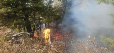 Buldan'dan alevler y�kseldi! Ekipler m�dahale ediyor