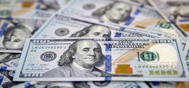 Merkez Bankas� rezervleri rekor k�rd�