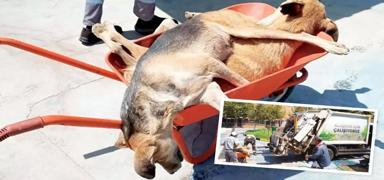 CHP'li belediye katliam yapt�