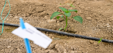 Bat� Akdeniz'den 167 �lkeye ihracat: Y�zde 136,65 art��