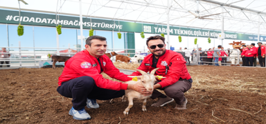 St sam robotlarndan VR deneyimine: Akll tarm teknolojileri TEKNOFEST'te