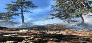 K�yce�iz yang�n� havadan ve karadan m�dahaleyle kontrol alt�na al�nd�