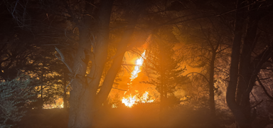 Antalya'da otluk alanda kan yangn kontrol altna alnd