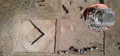 3 bin 500 y�ll�k f�nd�k fosili Samsun'da bulundu