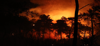 ki otel tahliye edilmiti: Antalya'daki orman yangn kontrol altna alnd
