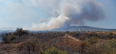 anakkale'de tarm arazisinde yangn