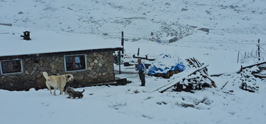 Rize'de kar ya����