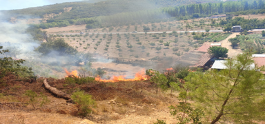 Bal�kesir'de ��kan orman yang�n� kontrol alt�na al�nd�