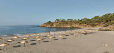 Bu yaz 8 plaj d�zenlenerek halk�n kullan�m�na �cretsiz olarak a��ld�