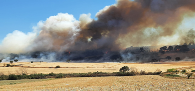 anakkale'de yangn! Zeytinlikten ormana srad: Ekipler mdahale ediyor