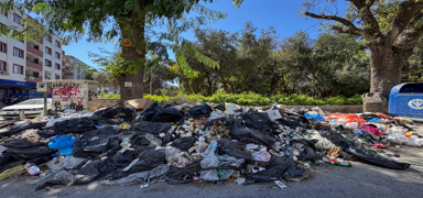 'Fareler bast�, korkudan uyuyam�yoruz'