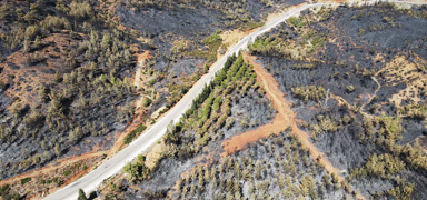 K�yce�iz'de 4 mahalle yand�! Ormanlar k�l oldu, geriye sessizlik kald�