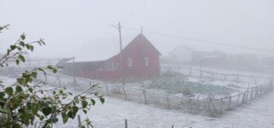 Y�ksek kesimlere k�� erken geldi: Do�u Karadeniz beyaza b�r�nd�