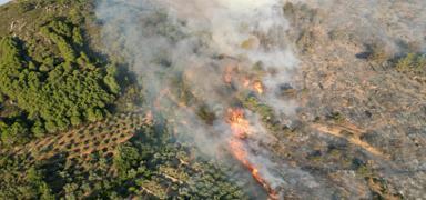Antalya'daki orman yangn: 1 pheli yakaland