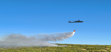 Diyarbak�r'da ��kan orman yang�n� s�nd�r�ld�