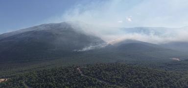 Denizli'de k�le d�nen alanlar ye�illendirilecek