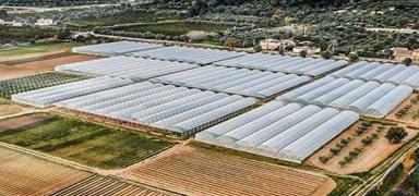 B�lgenin kalk�nmas�n� veto ettiler