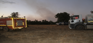 Konya'da sazl�k yang�n� ormana s��rad�: Alevler kontrol alt�na al�nd�