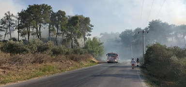 Manavgat'taki yang�n kontrol alt�nda