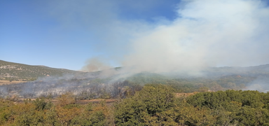 Burdur'daki yang�n kontrol alt�nda