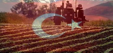 ��srail tohumu� tart��malar�na son nokta