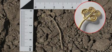 Trkiye'de literatre girecek keif