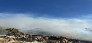 Diyarbak�r'da �rt� yang�n�