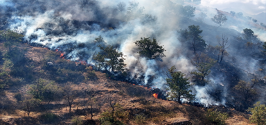Sebze k�zlemek i�in yak�lan ate� faciaya neden oldu
