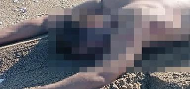 Sakarya'da esrarengiz olay: Sahilde erkek cesedi bulundu!