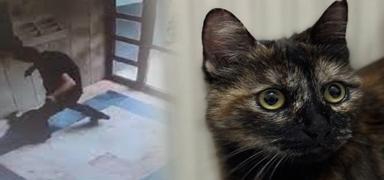 ��kence edilerek katledilmi�ti: Cezve'nin katilinin cezas� belli oldu