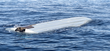 Artvin'e vuran �DA ayn� model ��kt�