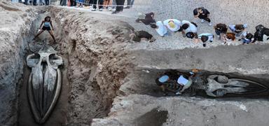 Dev balina topraktan ��kar�l�yor