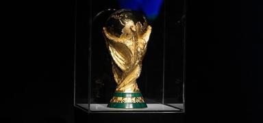 Cezayir, D�nya Kupas�'na vize almay� ba�ard�