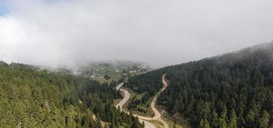 Uzmanlardan Karadeniz uyar�s�: Acil �nlem �art