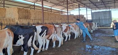 Kentte 12 mahallede alarm! Giri� ��k��lar yasakland�